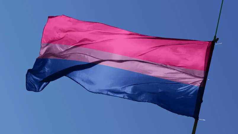 biseksüellik bayrağı