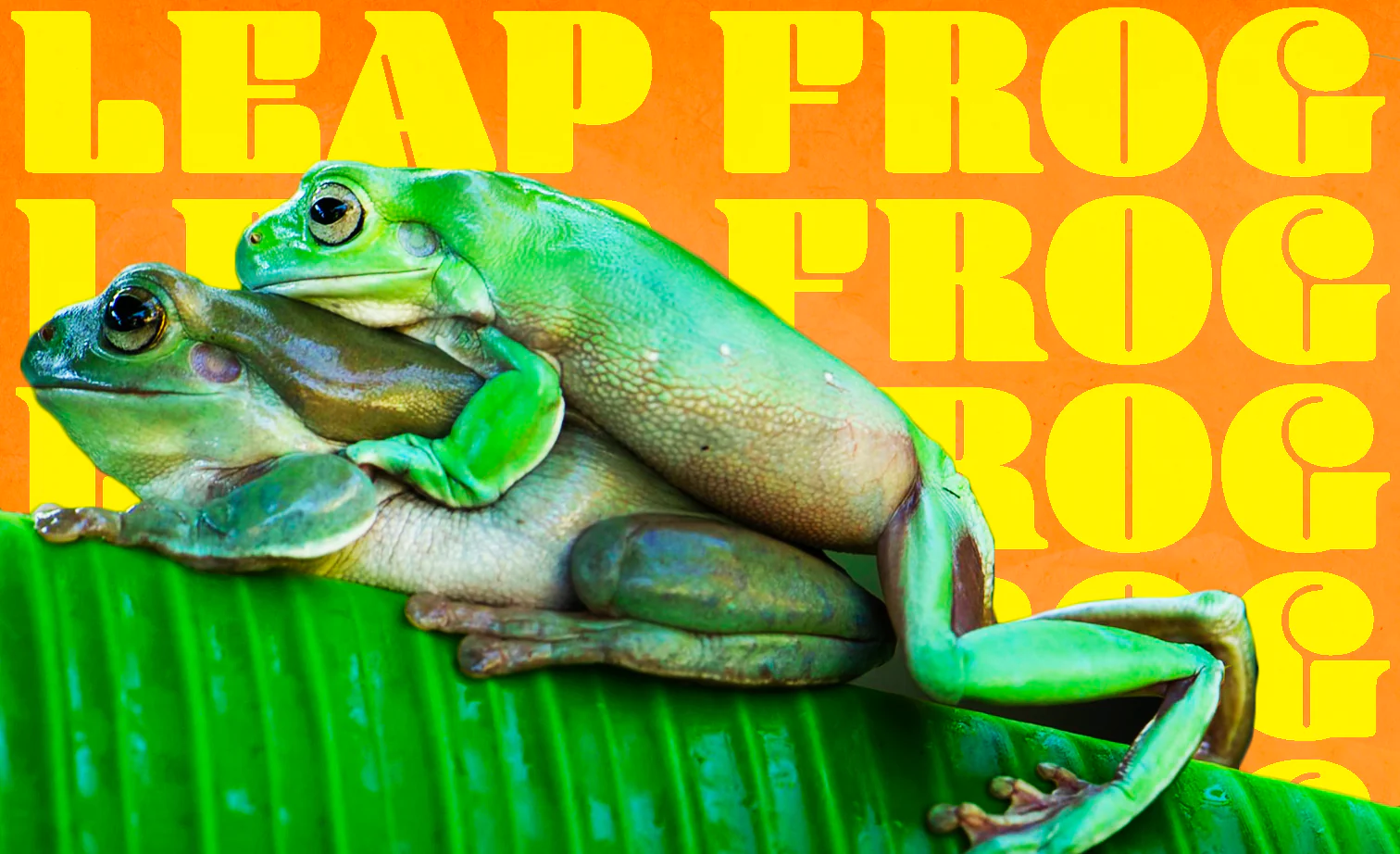 leap frog seks pozisyonu
