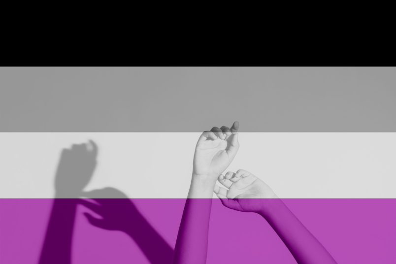 aseksüellik bayrağı